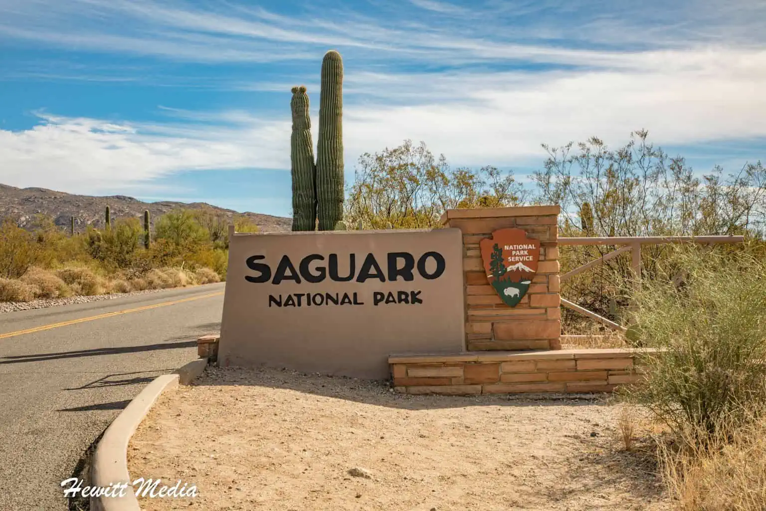 Park Archives: Saguaro National Park