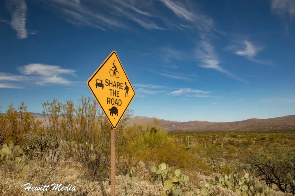 Saguaro National Park Guide