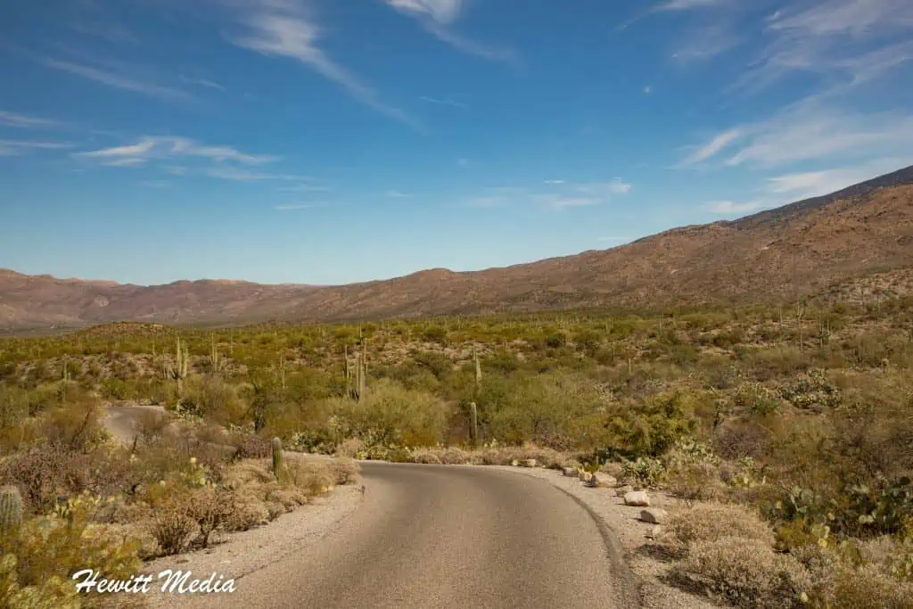 Saguaro National Park Guide