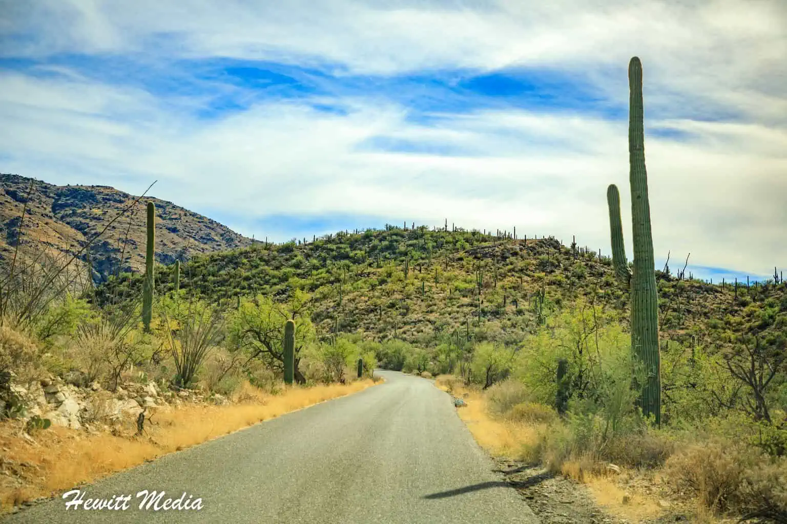 Bajada Loop Drive (West)