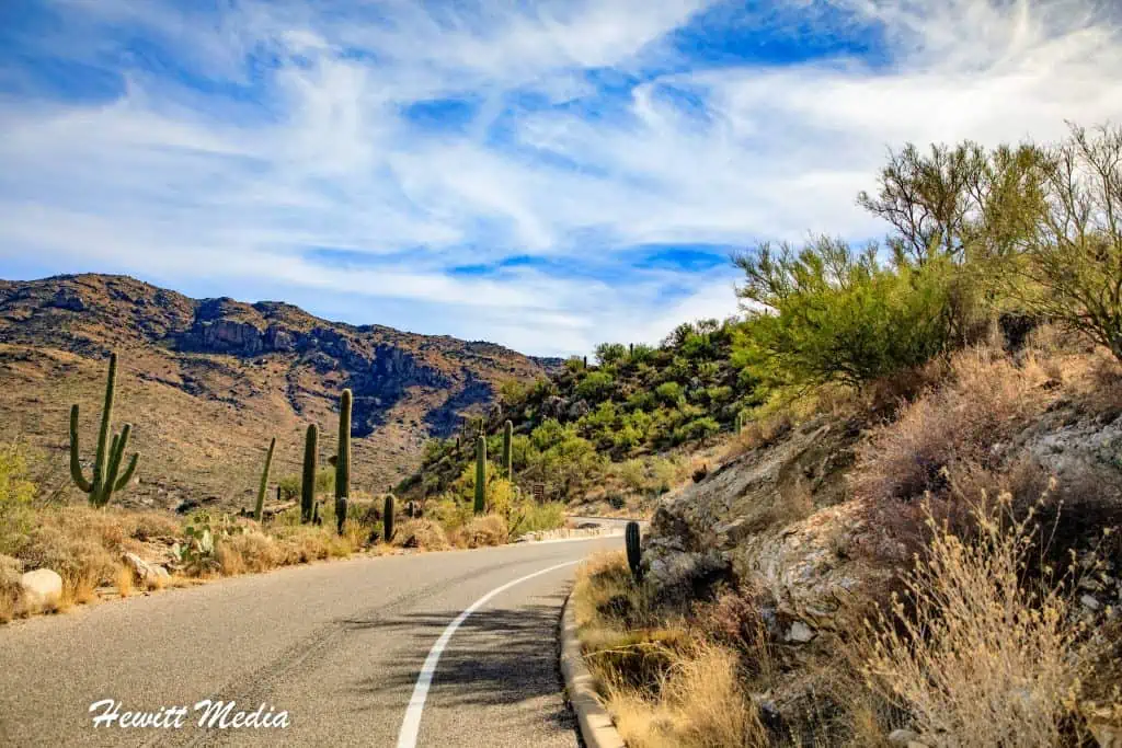 Saguaro National Park Guide
