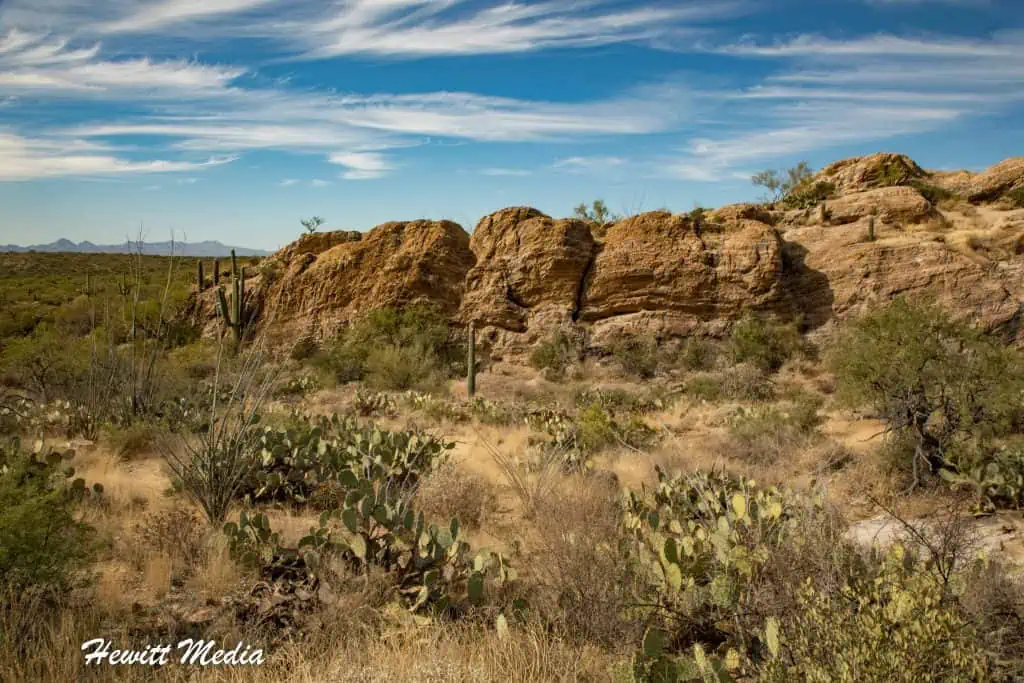 Saguaro National Park Guide