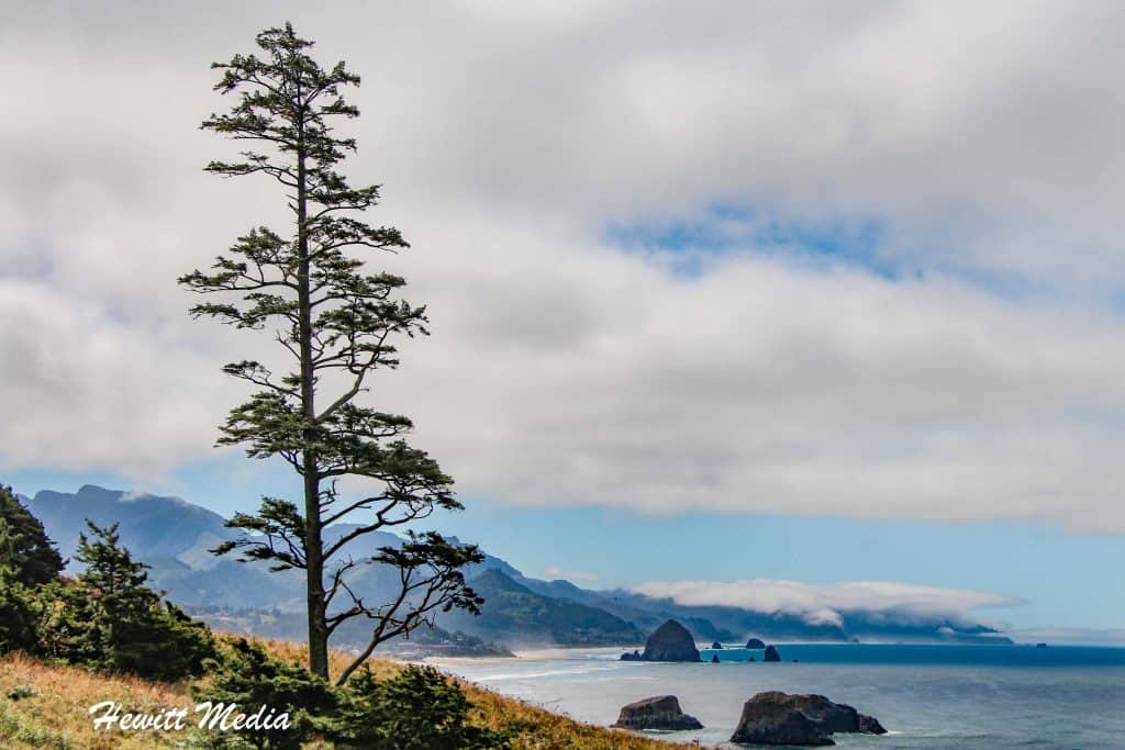 Cannon Beach Visitor Guide