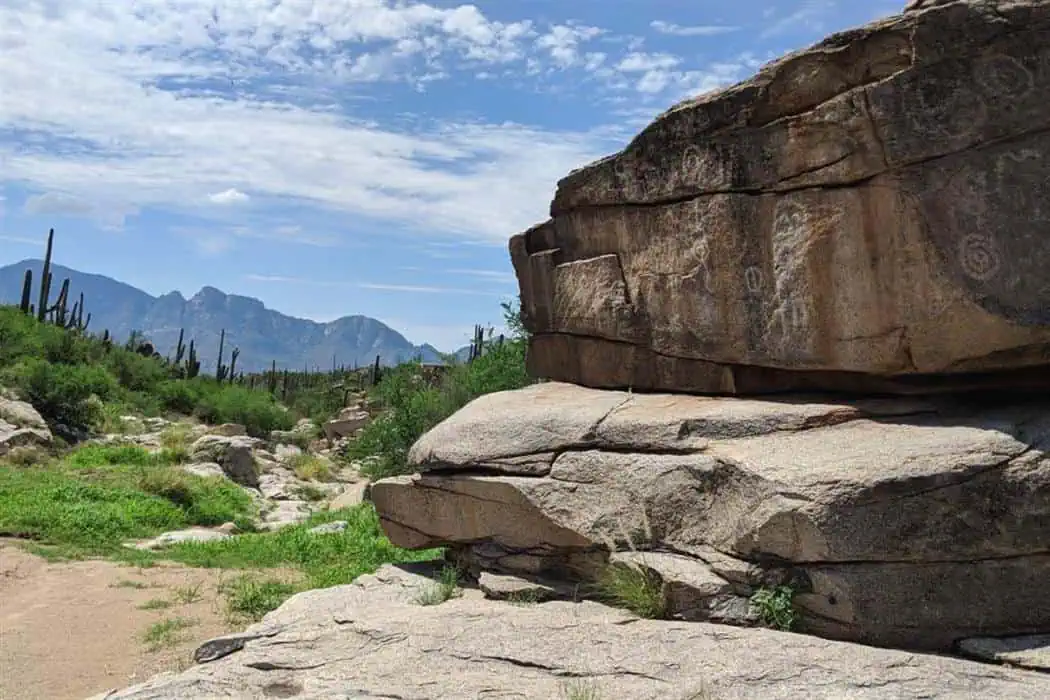 Ancient Petroglyphs on Signal Hill Trail (West)