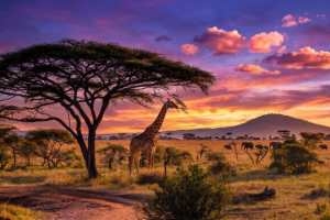 The 25 Top Wildlife Destinations in the World