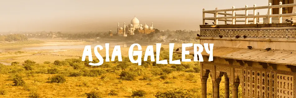 Asia Gallery Header.png