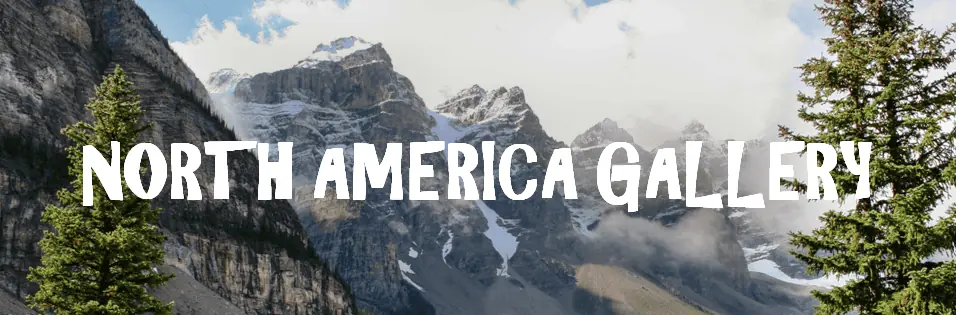 North America Gallery Header.png