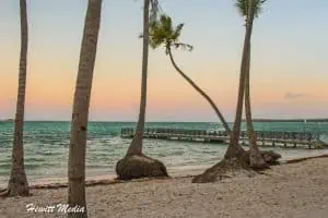 The Ultimate Guide for Visiting Punta Cana in the Dominican Republic