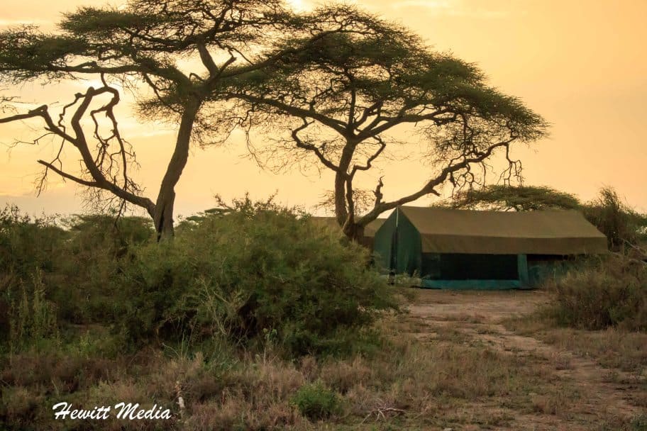 Camping in the Serengeti National Park