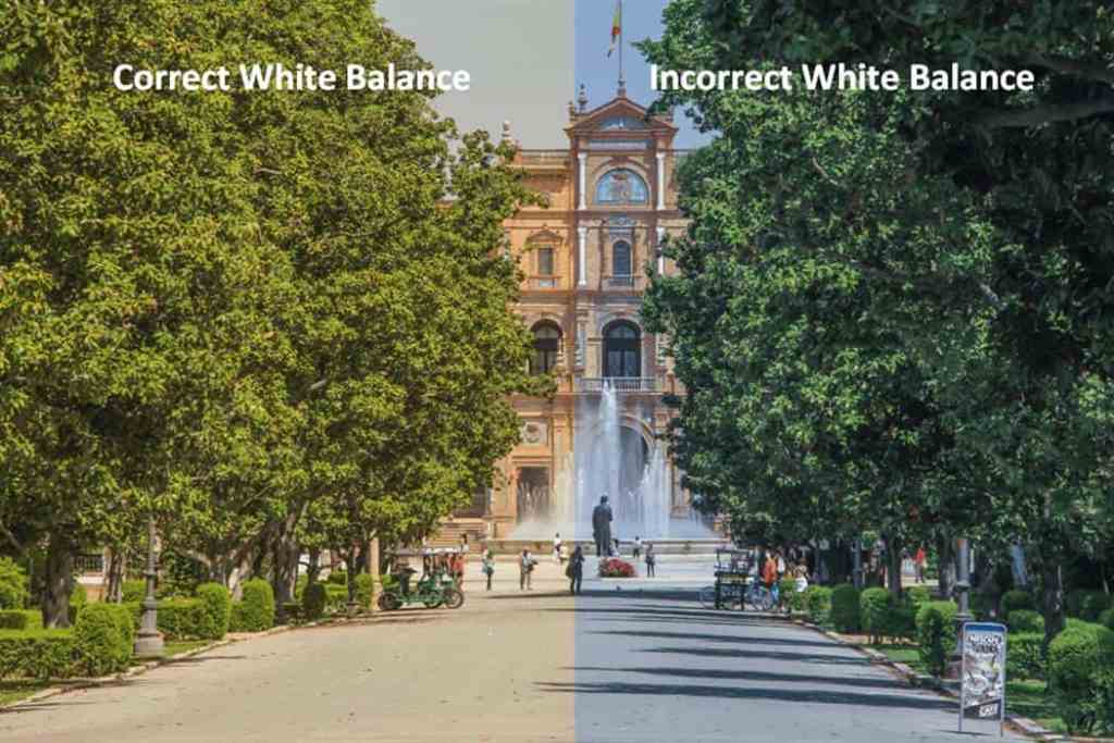 Avoid White Balance Problems Avoid White Balance Problems