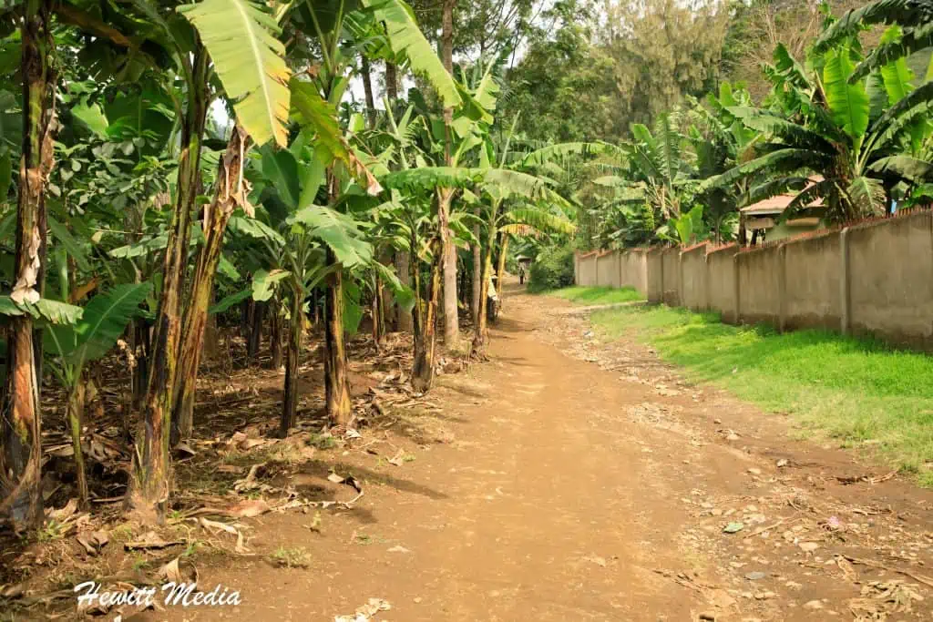 Kahawa Coffee Tour in Tanzania