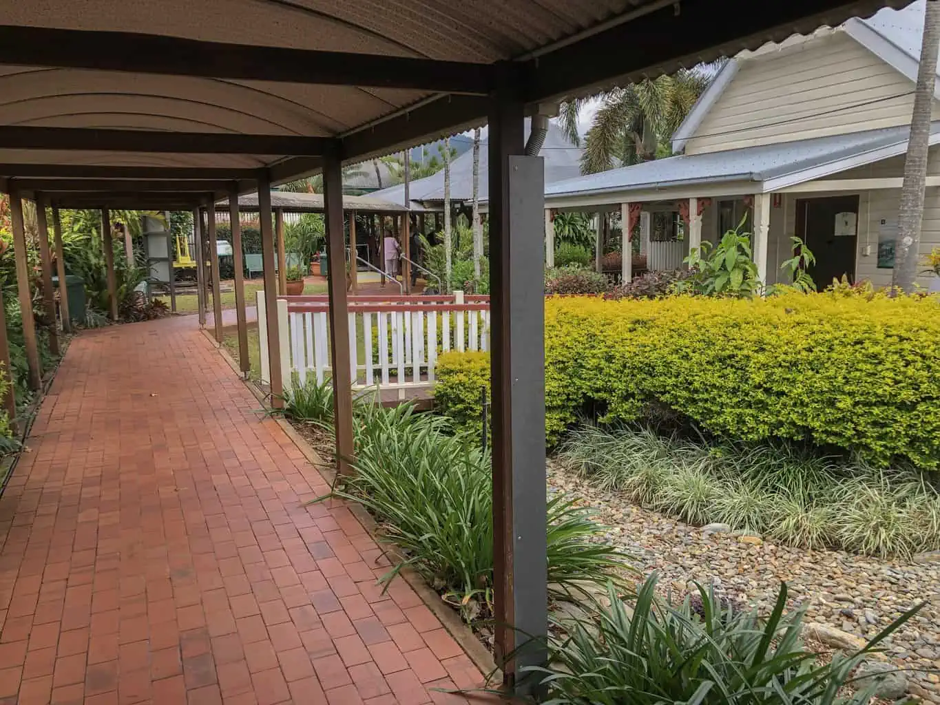 Kuranda and the Rainforest