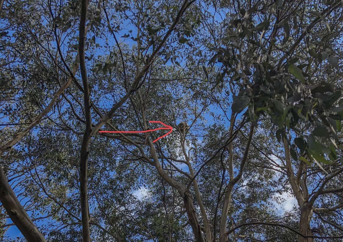 The Great Ocean Road