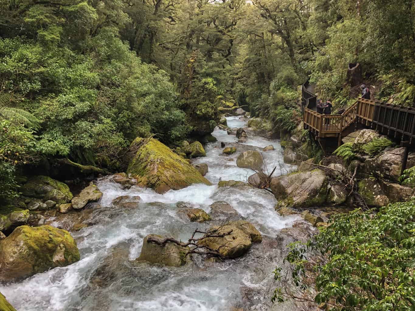 Fiordland National Park