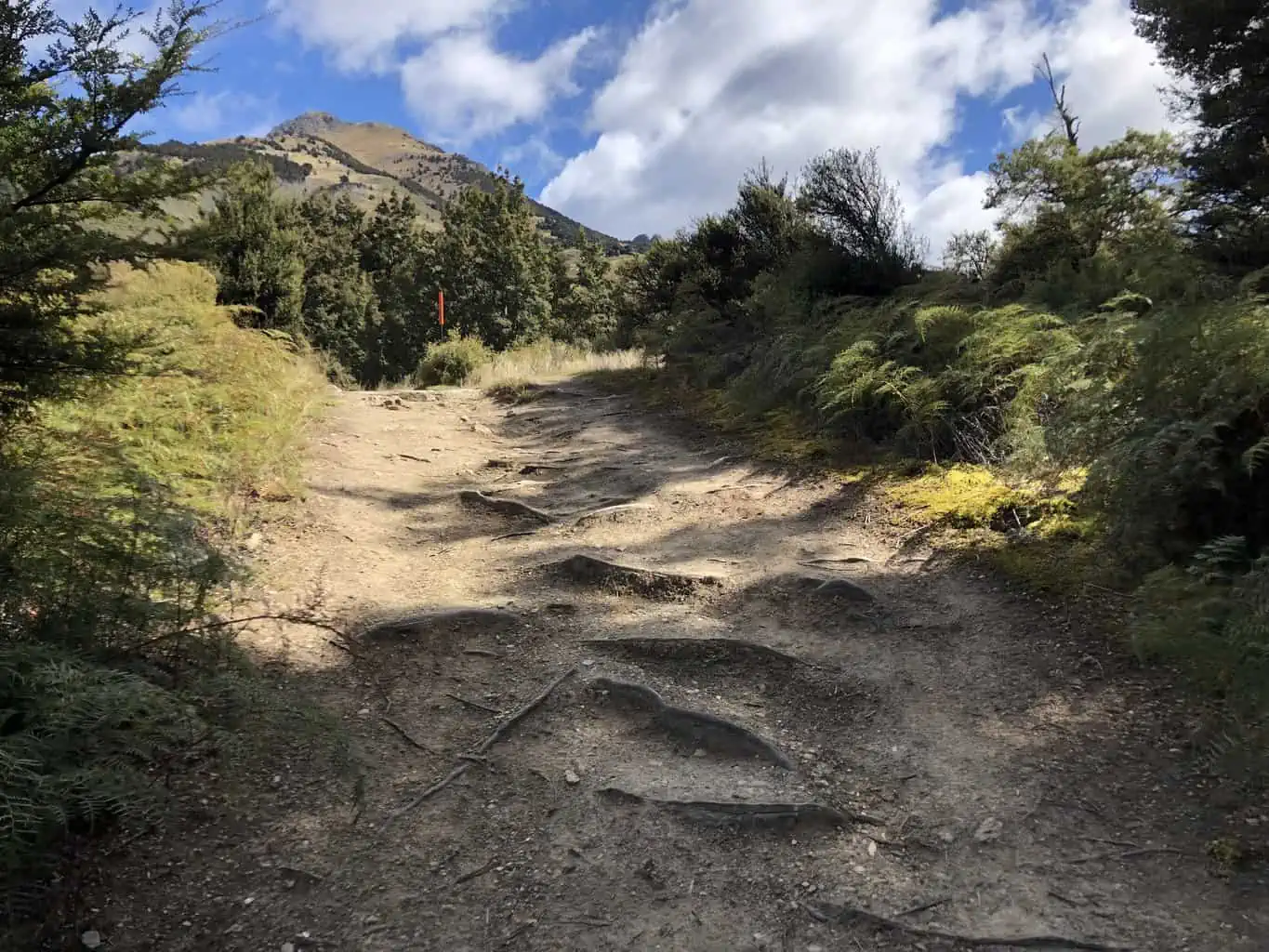 Hiking the Isthmus Peak (a Roy's Peak Alternative)