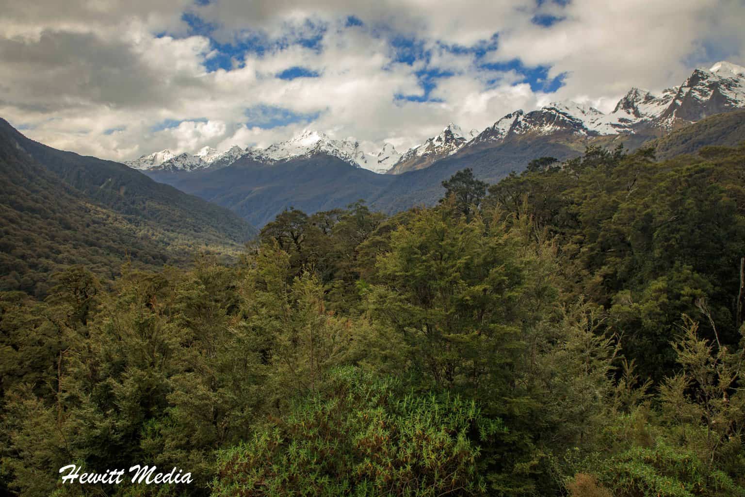 The Ultimate Milford Track Hiking Guide for Visitors to New Zealand