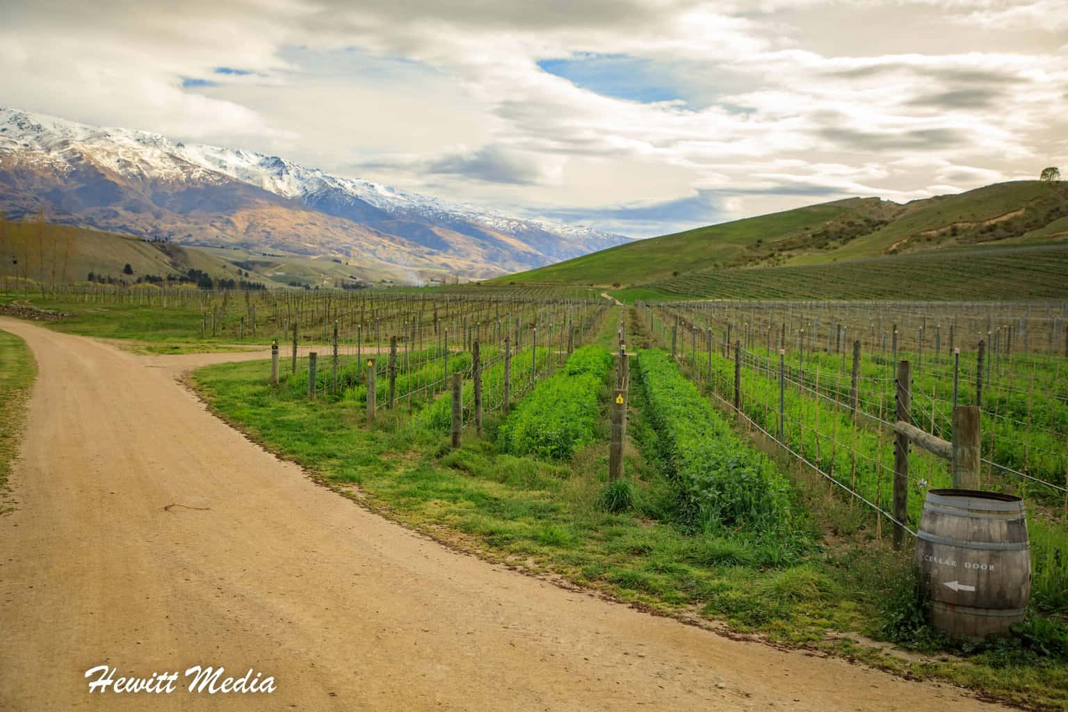 The Ultimate New Zealand Central Otago Wine Valleys Guide