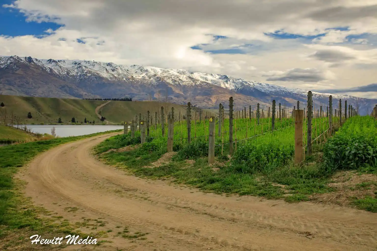 Wanaka New Zealand Guide - Central Otago Wine