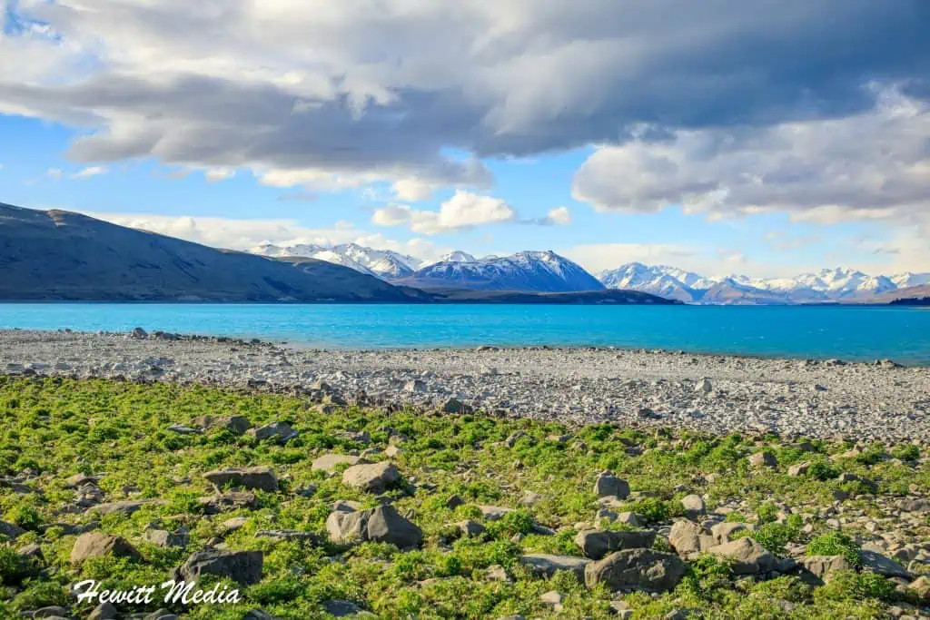 Lake Tekapo Guide