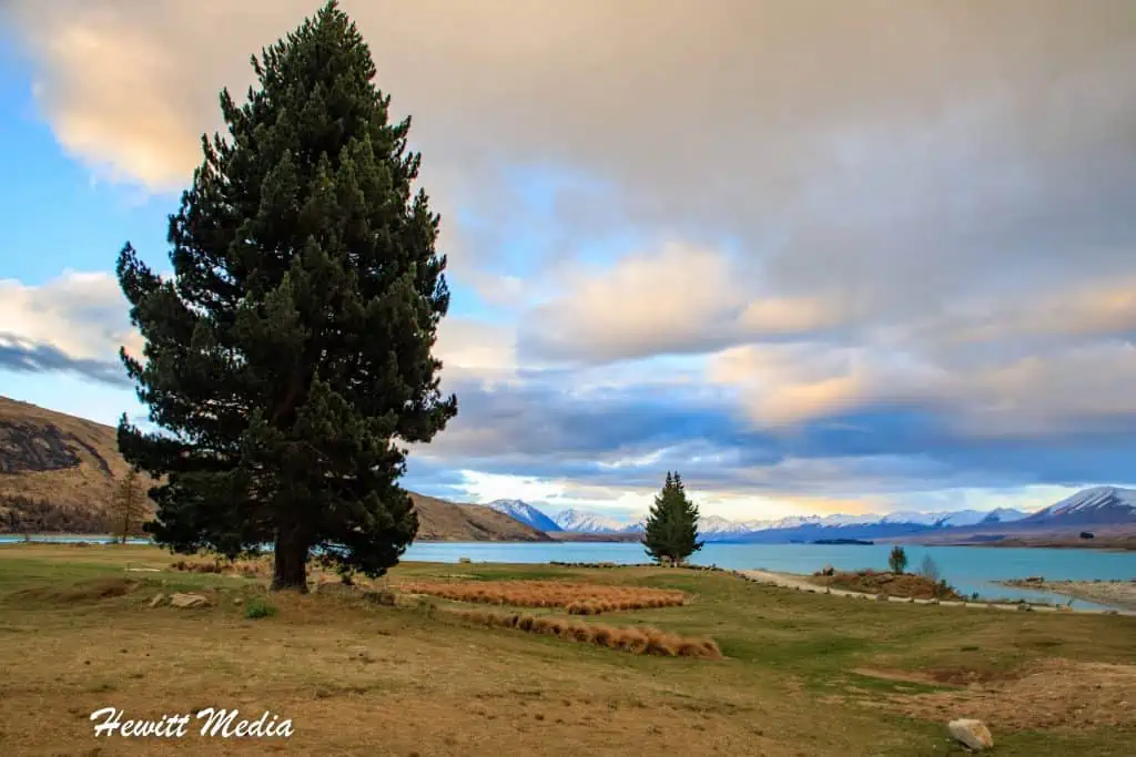 Lake Tekapo Guide