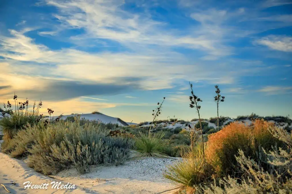 White Sands Visitor Guide