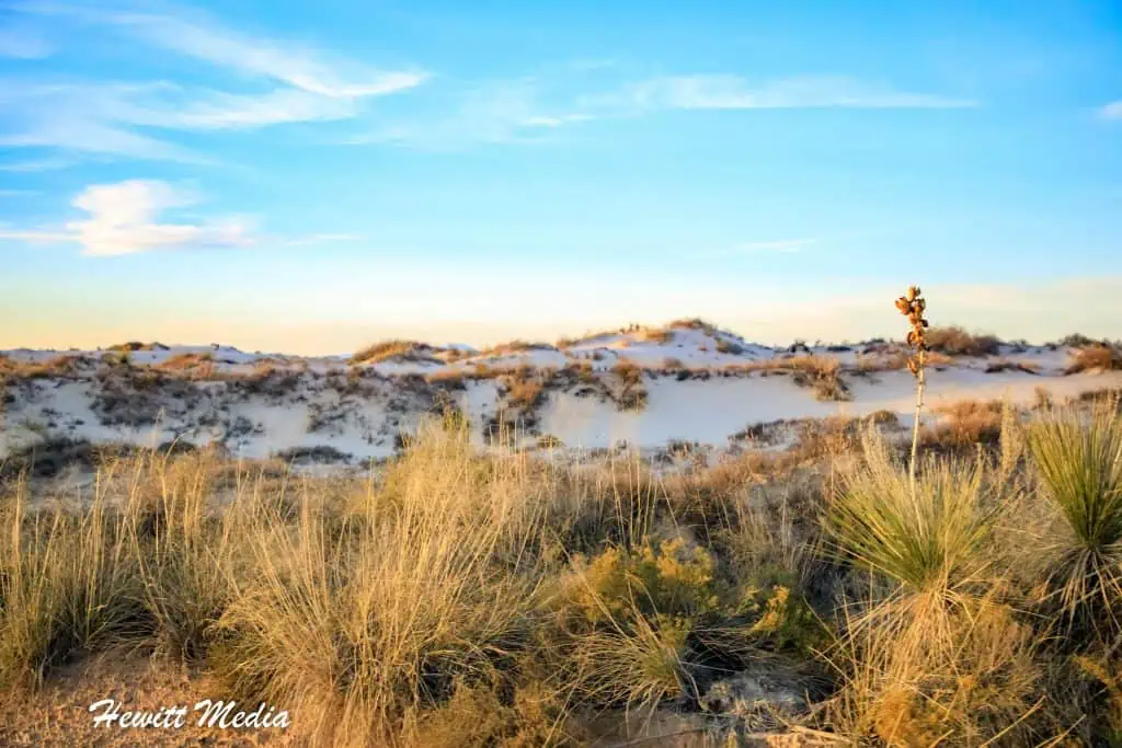 White Sands Visitor Guide