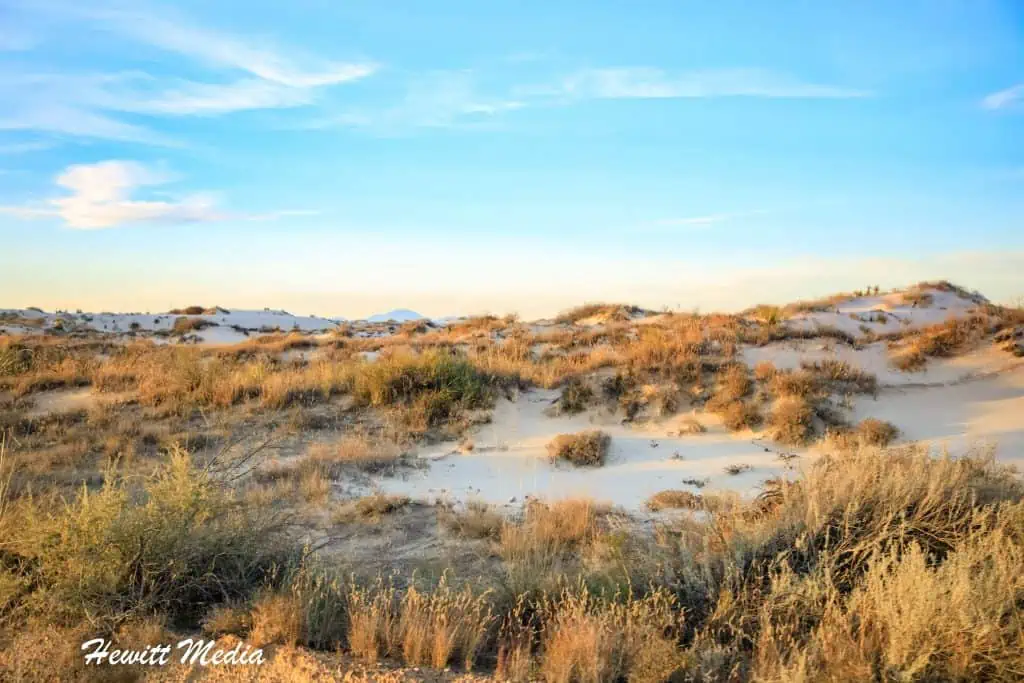 White Sands Visitor Guide