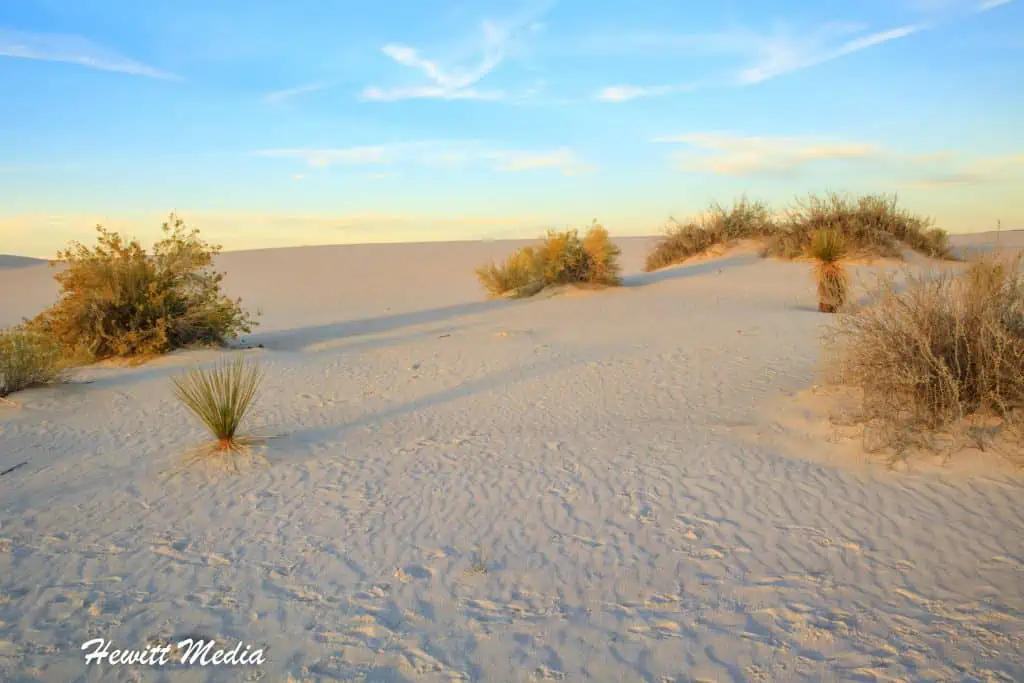 White Sands Visitor Guide