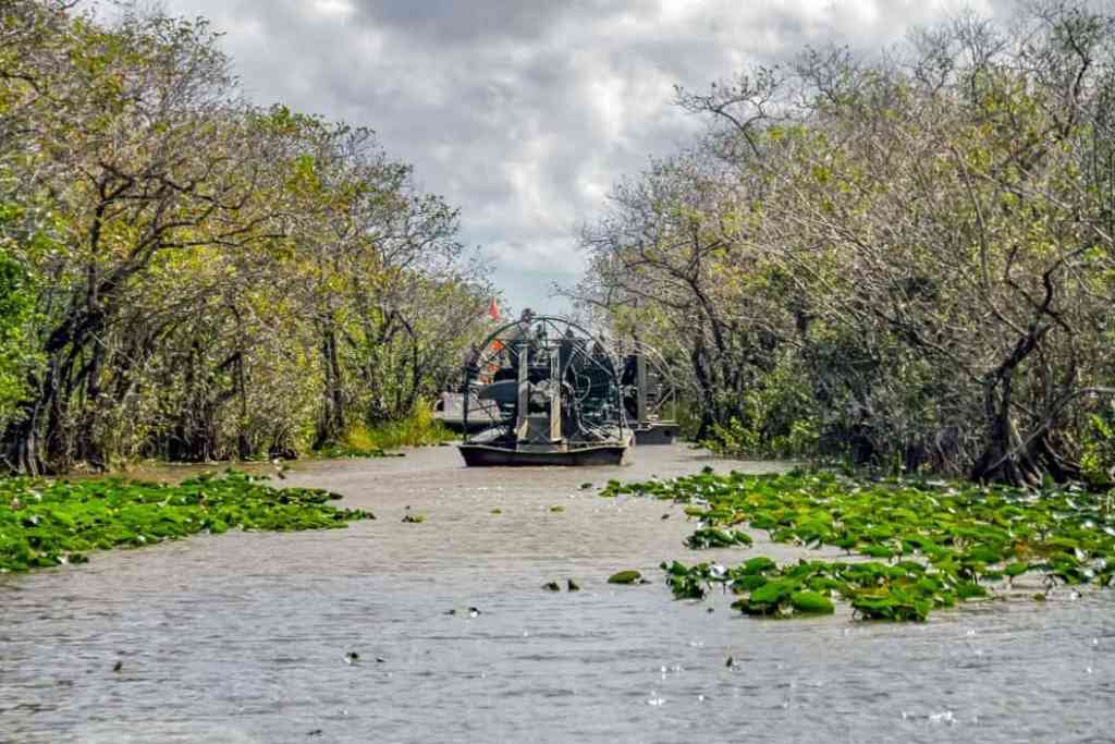 Top Things to See in the United States - Everglades National Park