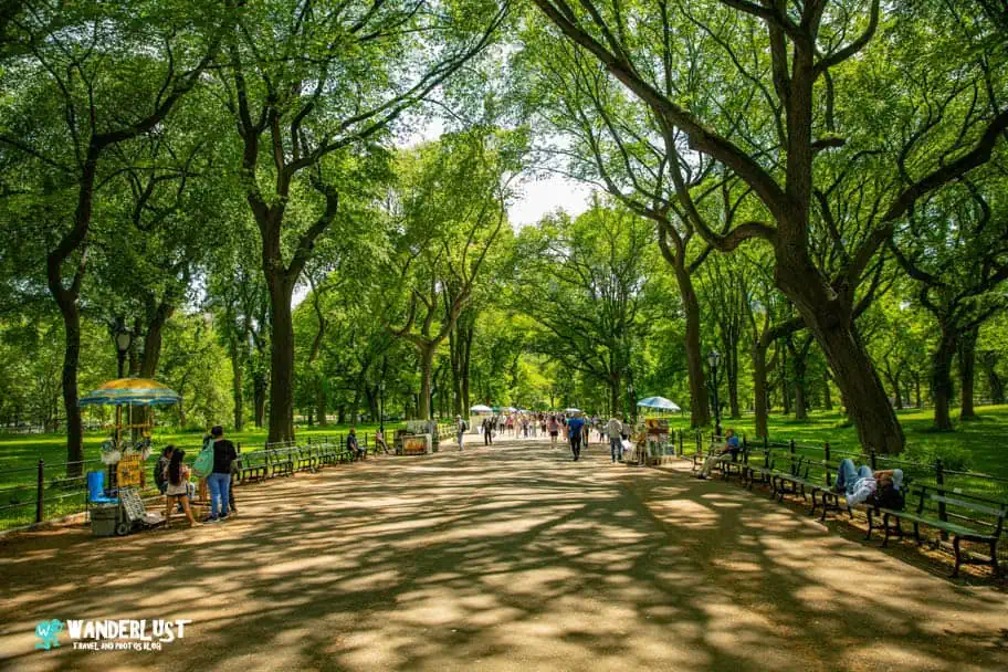 Things to See in the United States Central Park