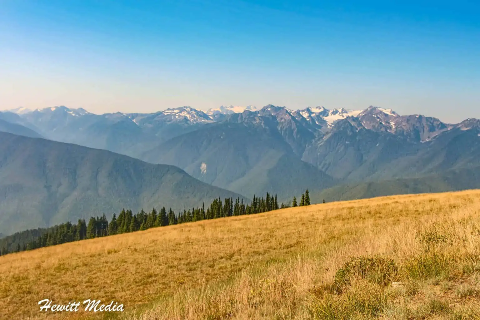 Olympic National Park Washington