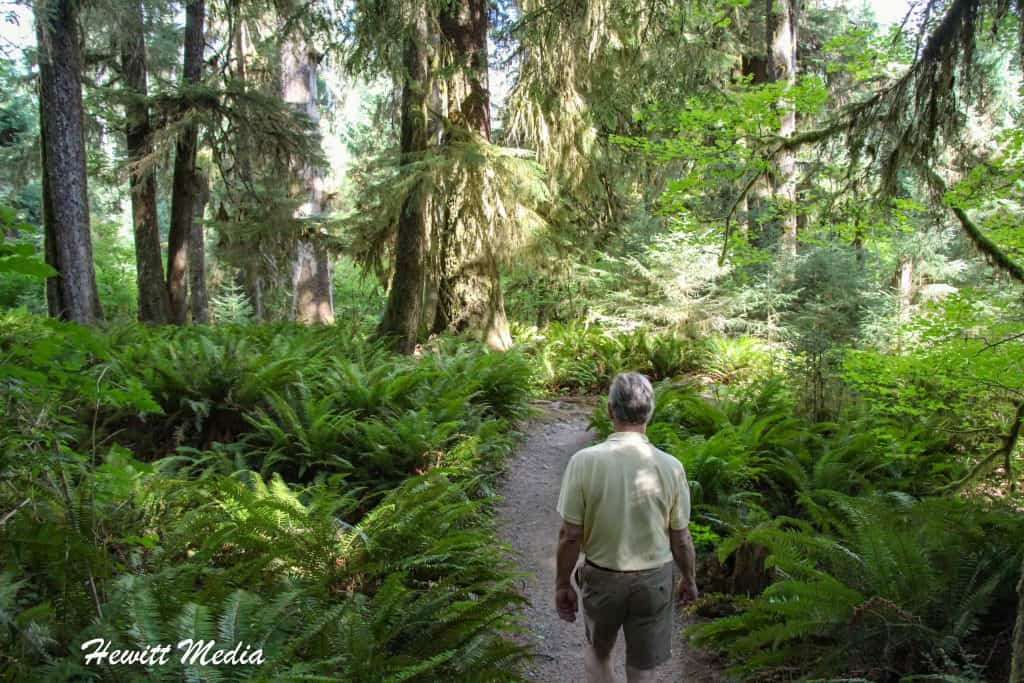 Olympic National Park Guide