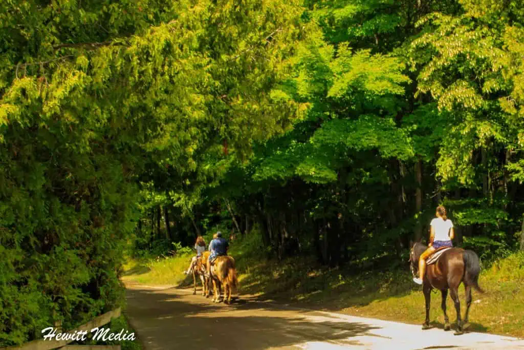 Mackinac Island Visitor Guide