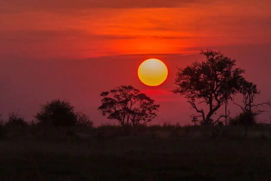 2020 Travel Bucket List Okavango Delta