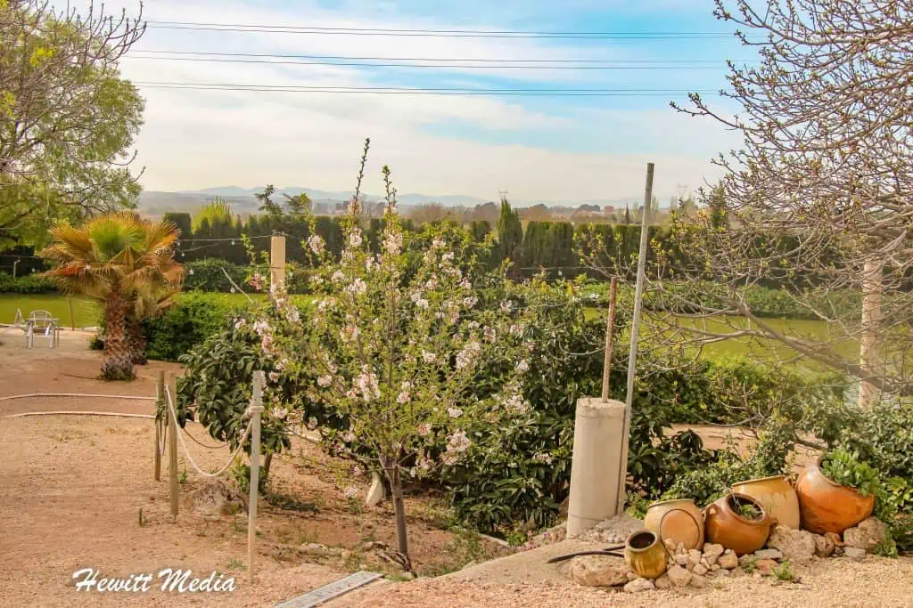 Valencia Spain Travel Guide