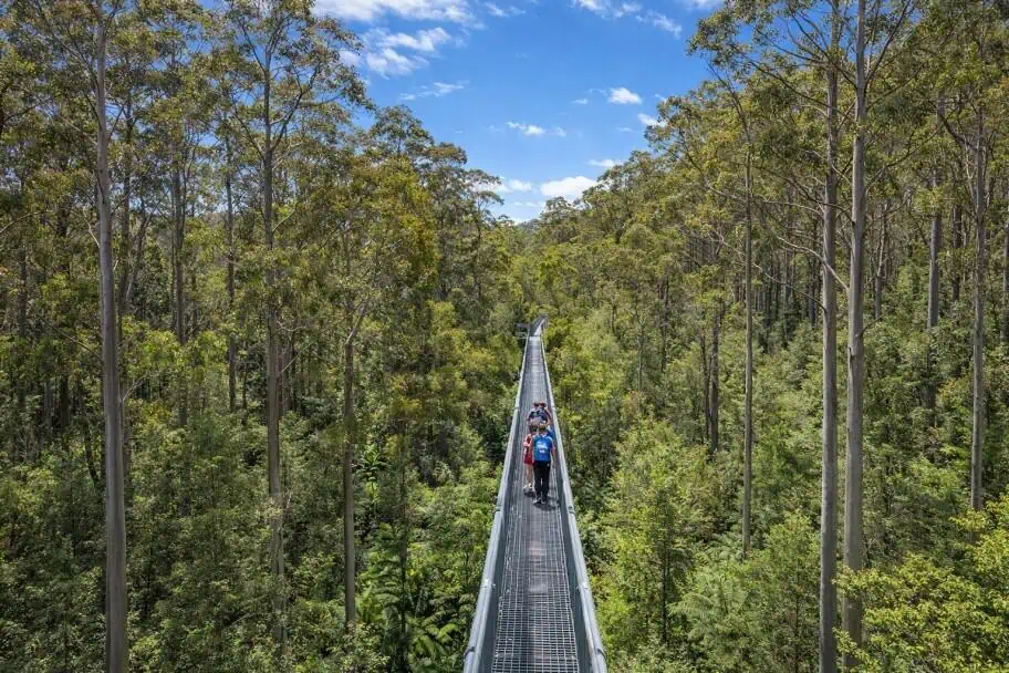 Great Otway National Park