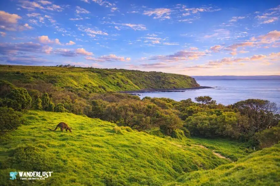 Phillip Island, Australia