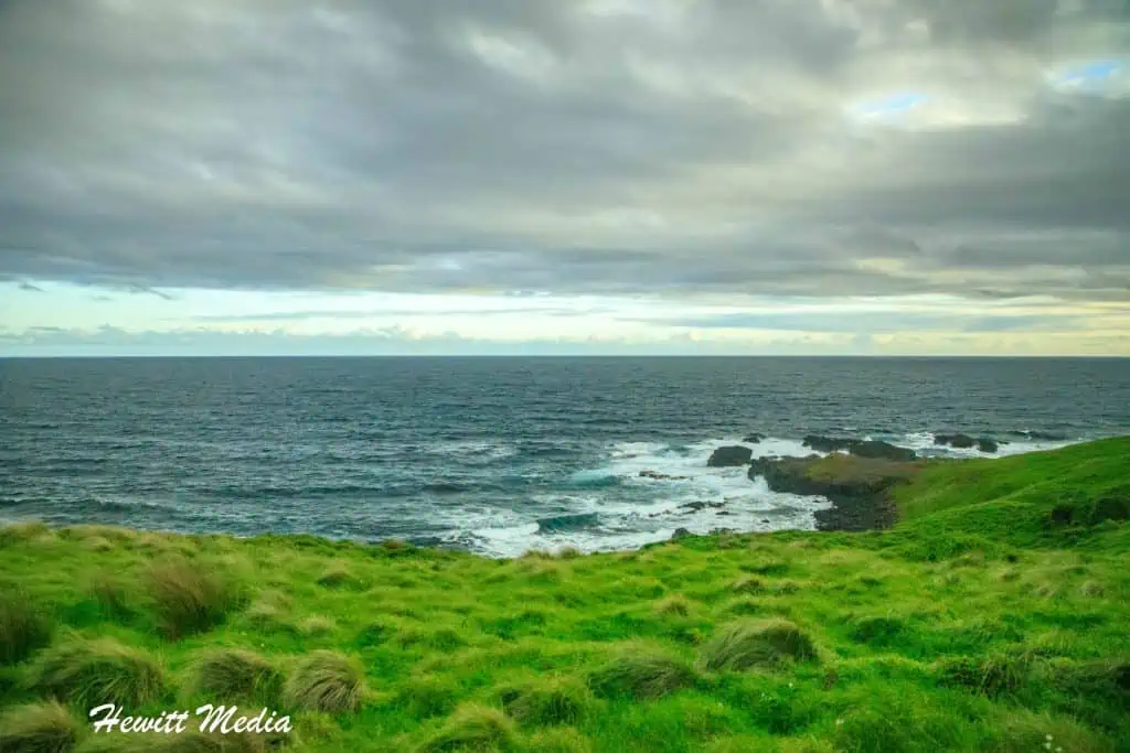 Phillip Island Penguin Parade