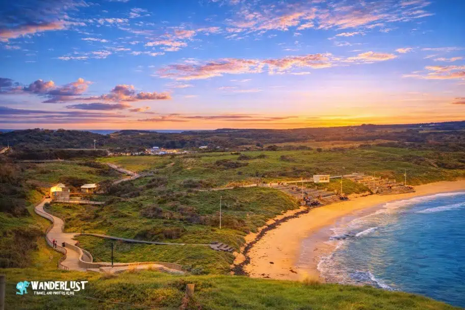 Phillip Island Penguin Parade