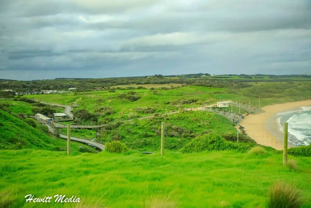 Phillip Island Penguin Parade