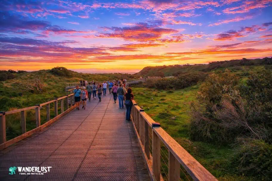 Phillip Island Penguin Parade Boardwalk