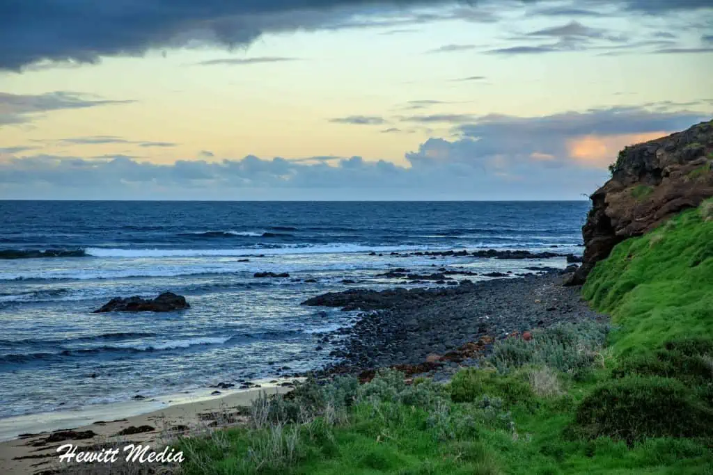 Phillip Island Penguin Parade