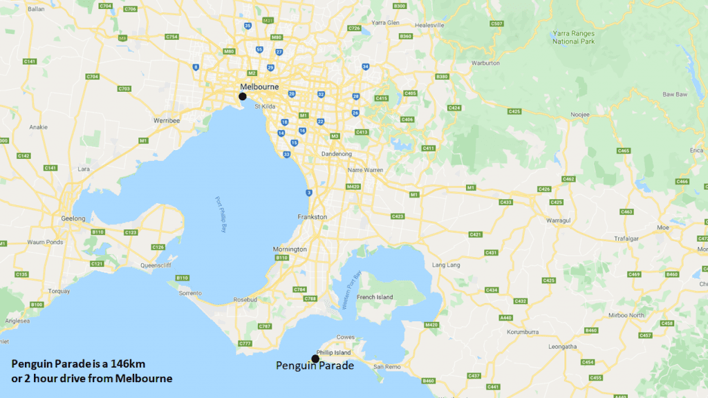 How to Get to the Phillip Island Penguin Parade Map