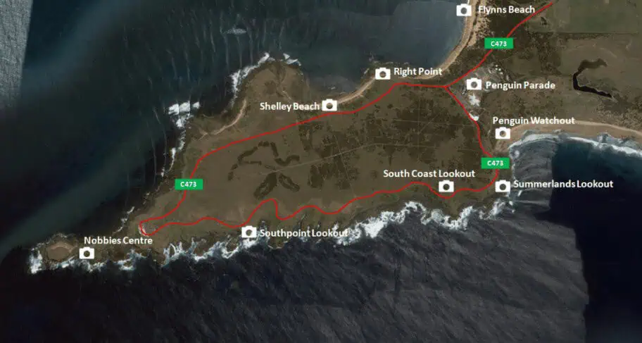 Phillip Island Penguin Parade Tourist Map