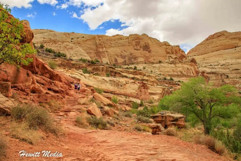Capitol Reef Park Guide