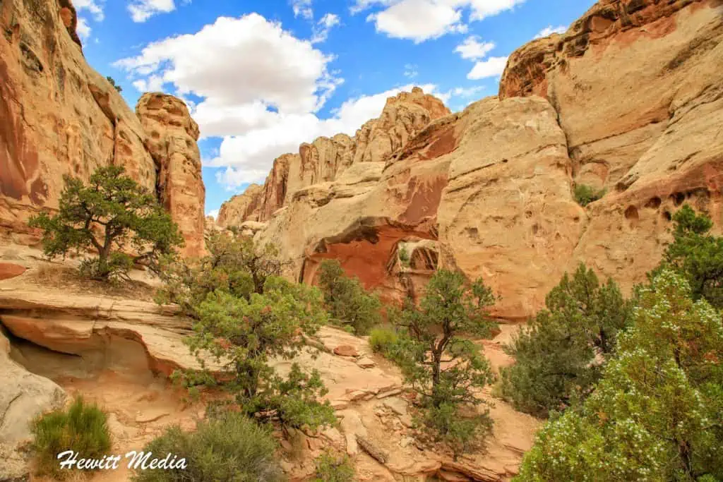 Capitol Reef Park Guide