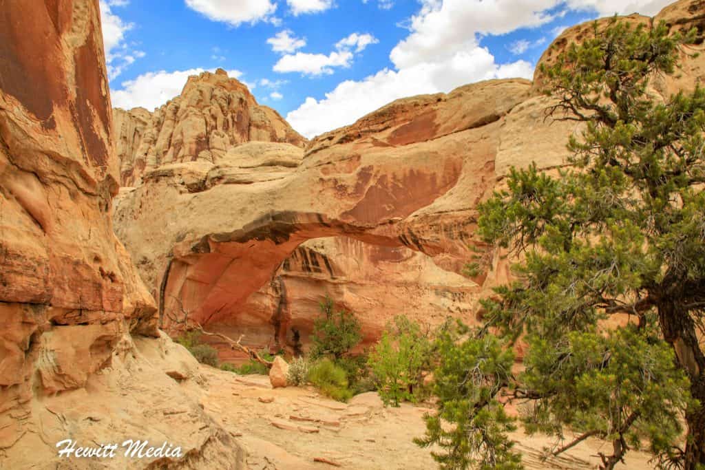 Capitol Reef Park Guide