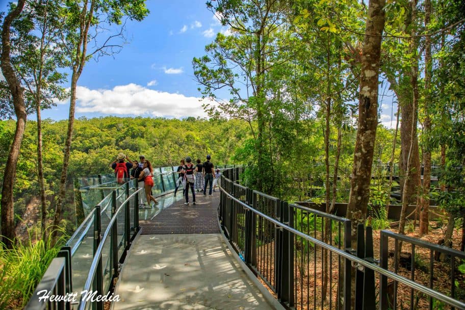 Kuranda Rainforest Walkways