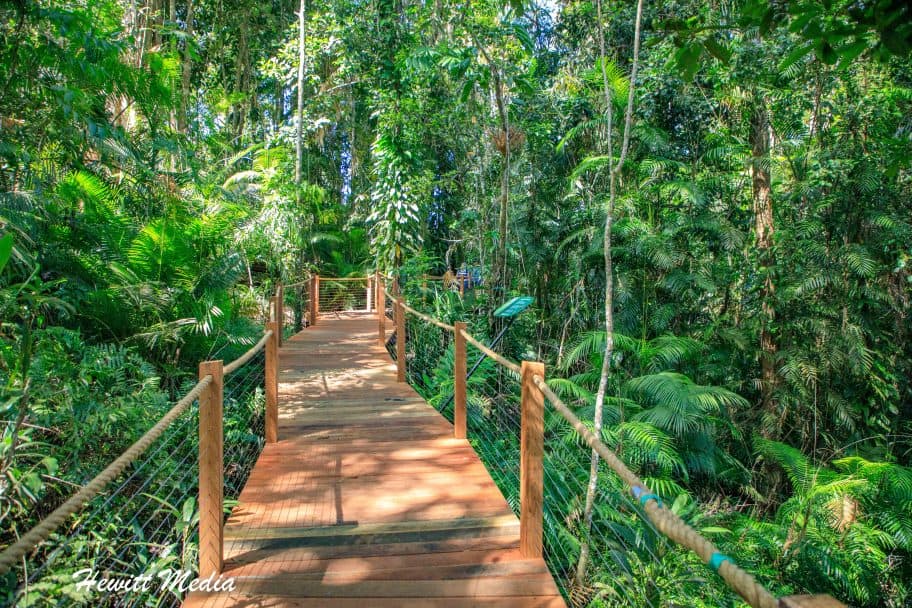 Kuranda Rainforest guide