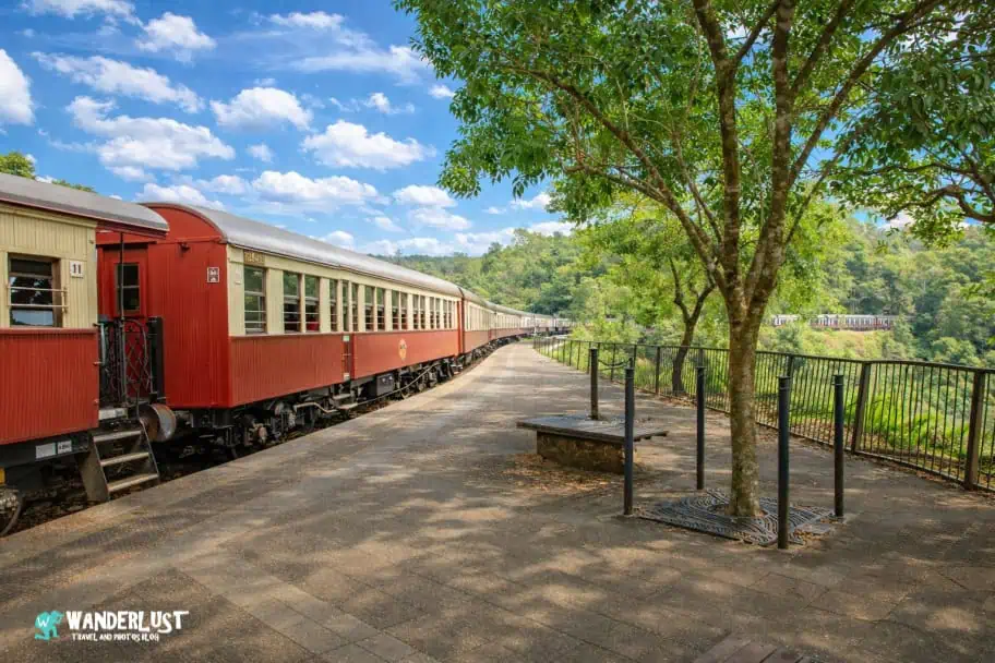 Kuranda Rainforest guide